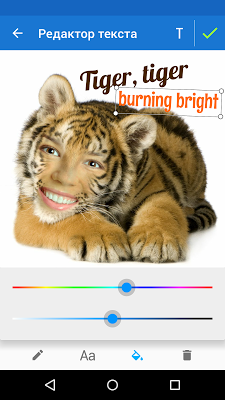 Photo Lab PRO — скриншот 7